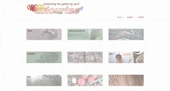 Desktop Screenshot of colourise.com.au